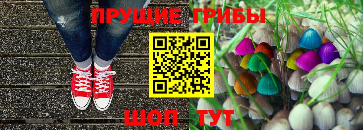 Псилоцибиновые грибы Psilocybe  Вход с VPN  Арзамас 